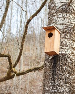 nesting boxes by the riverside
