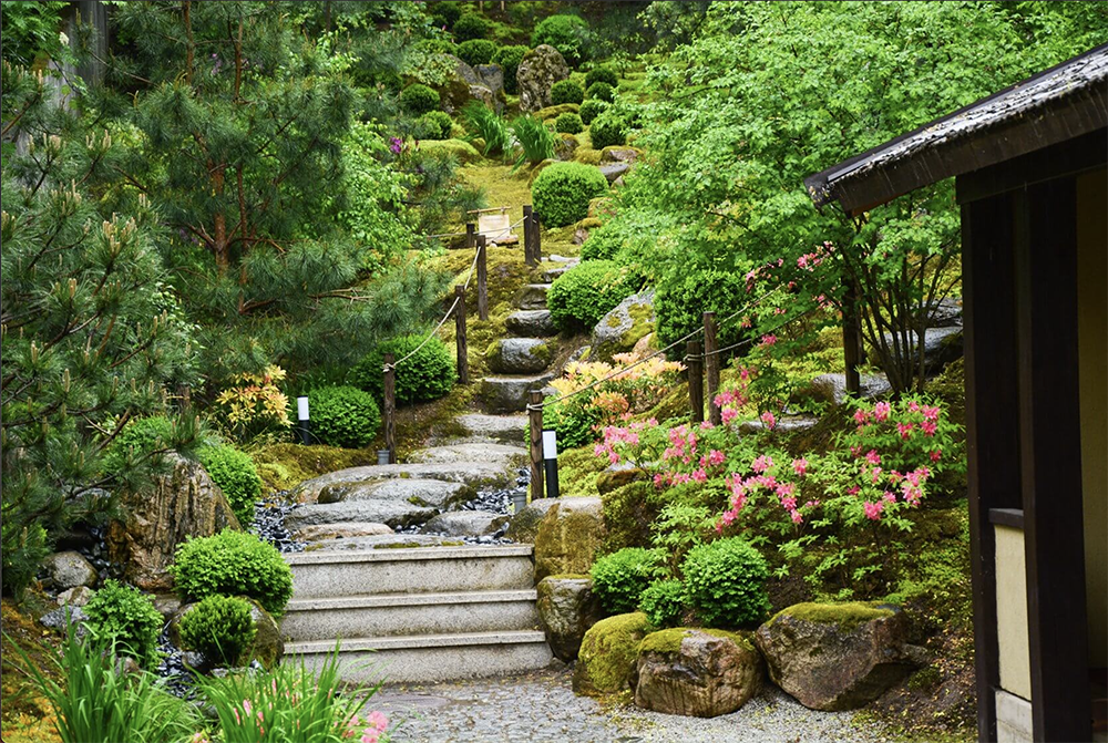 japanese garden