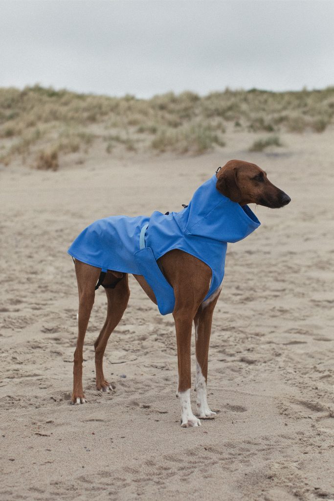 Recycled Polyester Dog s Raincoat